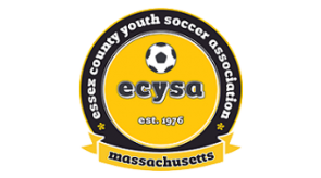 ecysa_logo_color.png